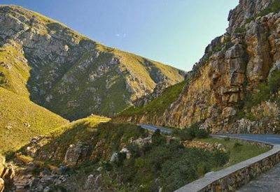 Cape Town, Wine & Whales self drive safari