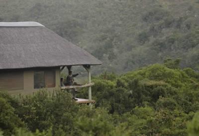 Cape Wildlife Family Safari