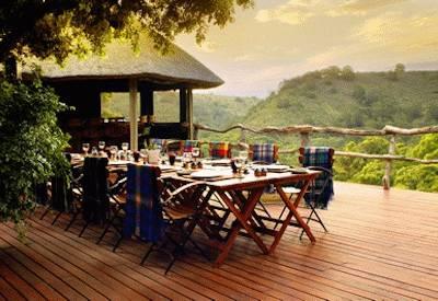Cape Wildlife Family Safari