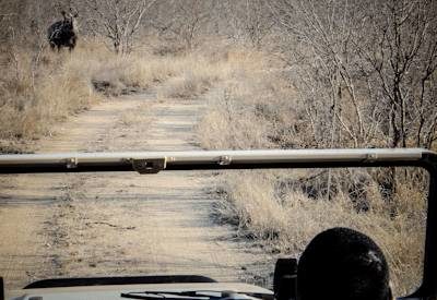 Classic Kruger Camping