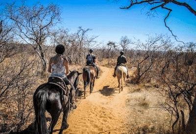 Horse Back Safaris