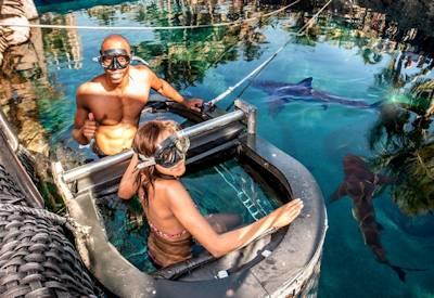 Ushaka Marine World Tour