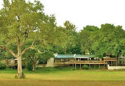 Effortless South Africa Safari