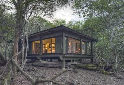Effortless South Africa Safari