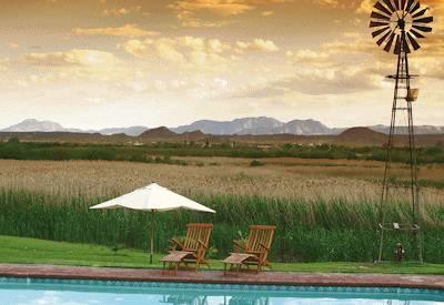 Effortless South Africa Safari