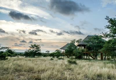 Kruger Bush Walking Safari