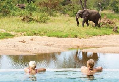 Kruger Walking & Timbavati Safari