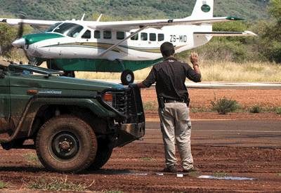 Lion Sands Fly In Safari