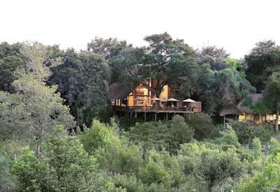 Londolozi Fly In Safari