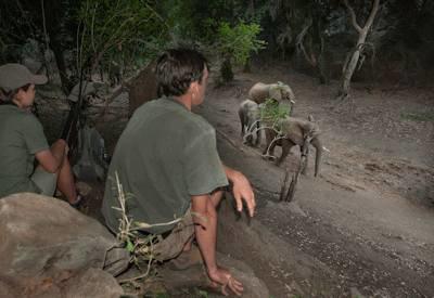 Pafuri Walking Safari