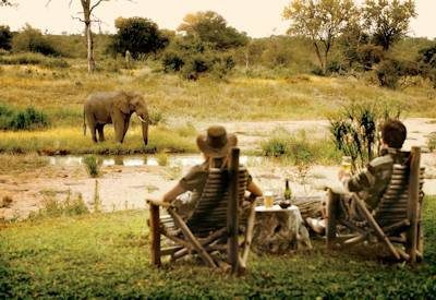 Sabi Sand & Timbavati Safari