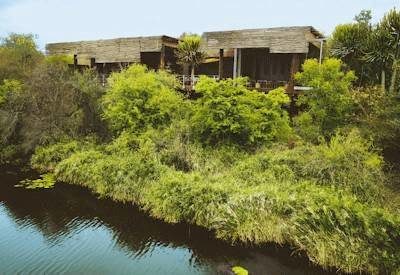 Singita Ebony & Sweni Safari