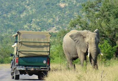 South Africa Surprise Tour