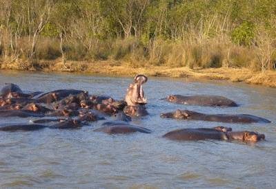 South Africa Surprise Tour