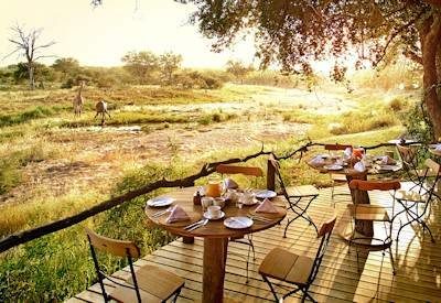 Timbavati Self Drive Safari