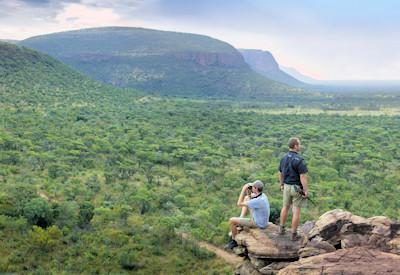 Safari activities in the Marakele National Park