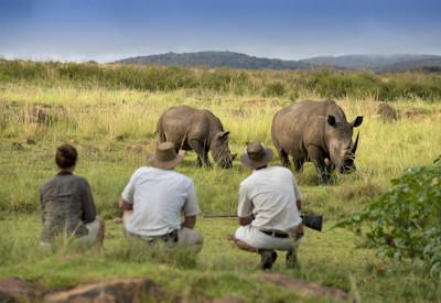 Safari in the Welgevonden Game Reserve