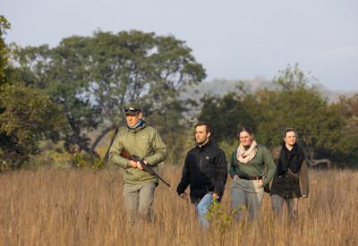 Safari activities in the Lapalala Wilderness