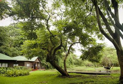 Surrounded by wildlife and birdlife