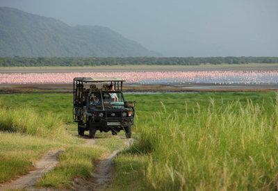 Lake Manyara safaris and tours