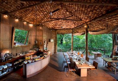 Central guest area at Tree Lodge
