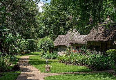 Thatched cottages and walkways