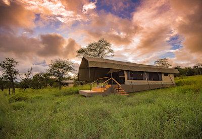 Private and intimate suites