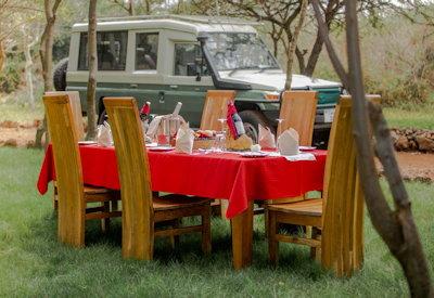 Lake Manyara National Park safari