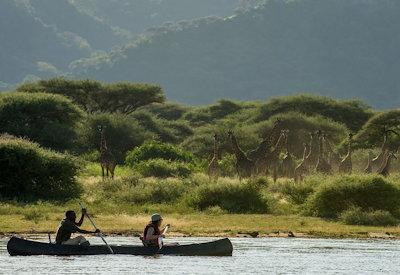 Lake Manyara National Kark safari