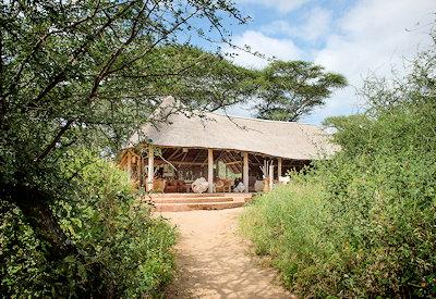 Little Oliver's in the Tarangire