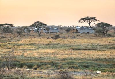 Namiri Plains Camp