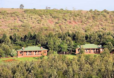 Surrounded by forests and nature
