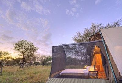 Camp with stargazing bedrooms