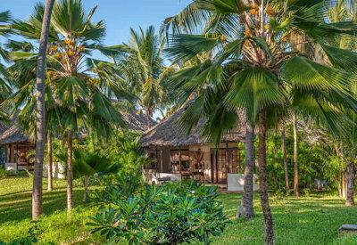 Luxury villas surrounded by palm trees