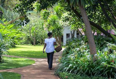 Walkways around the lodge team with birdlife