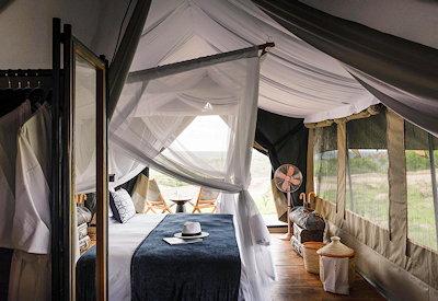 Beautifully appoint safari suites