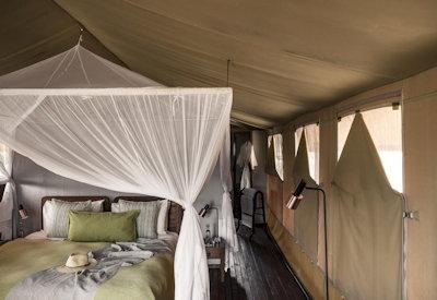 Luxury tented safari suites