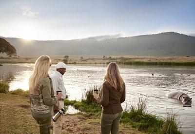 Ngorongoro floor safaris