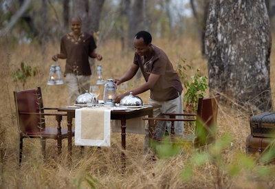 Selous Game Reserve safaris