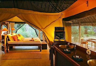 Large and spacious safari suites