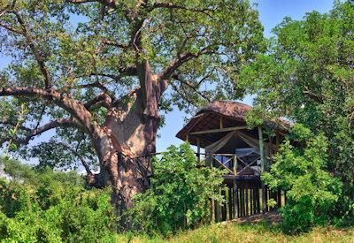Safari suites high up on wooden decking