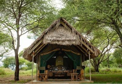 Thatched and canvas safari suites