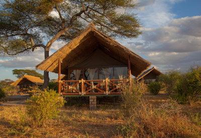 Classic Simba safari lodge layout