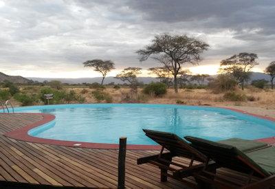 The beautiful outdoor pool at Tarangire Simba