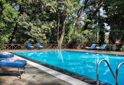Swimming pool view with sun loungers