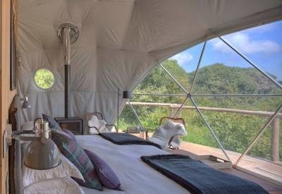 Suite views over a mountain forest