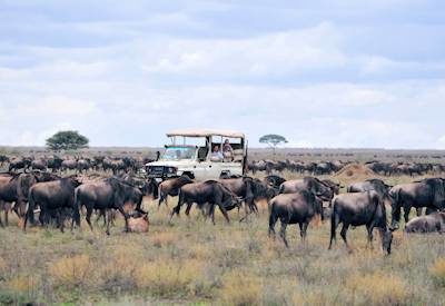 Serengeti National Park