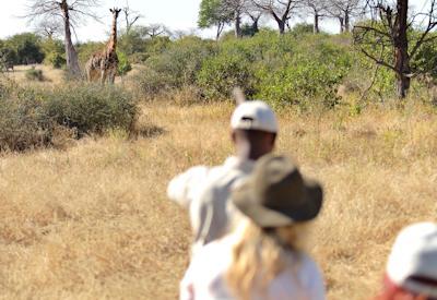 Asilia Private Safari