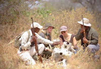 Best Asilia Walking Safari
