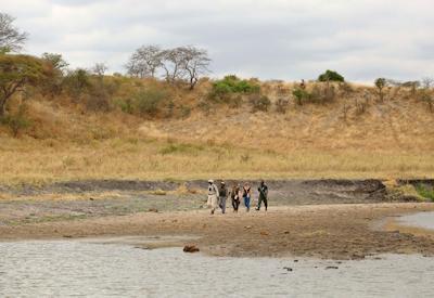 Best Asilia Walking Safari
